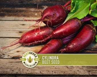 Cylindra Beet Seeds - Non-GMO Heirloom Seeds