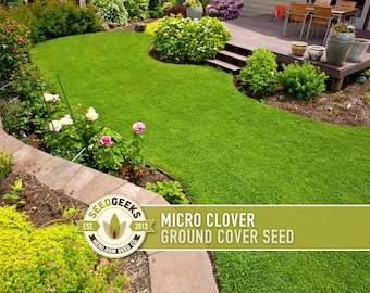 Micro (Mini) Clover Seeds | 200,000+ Seeds (8 oz), Drought Tolerant Lawn Alternative | Trifolium repens
