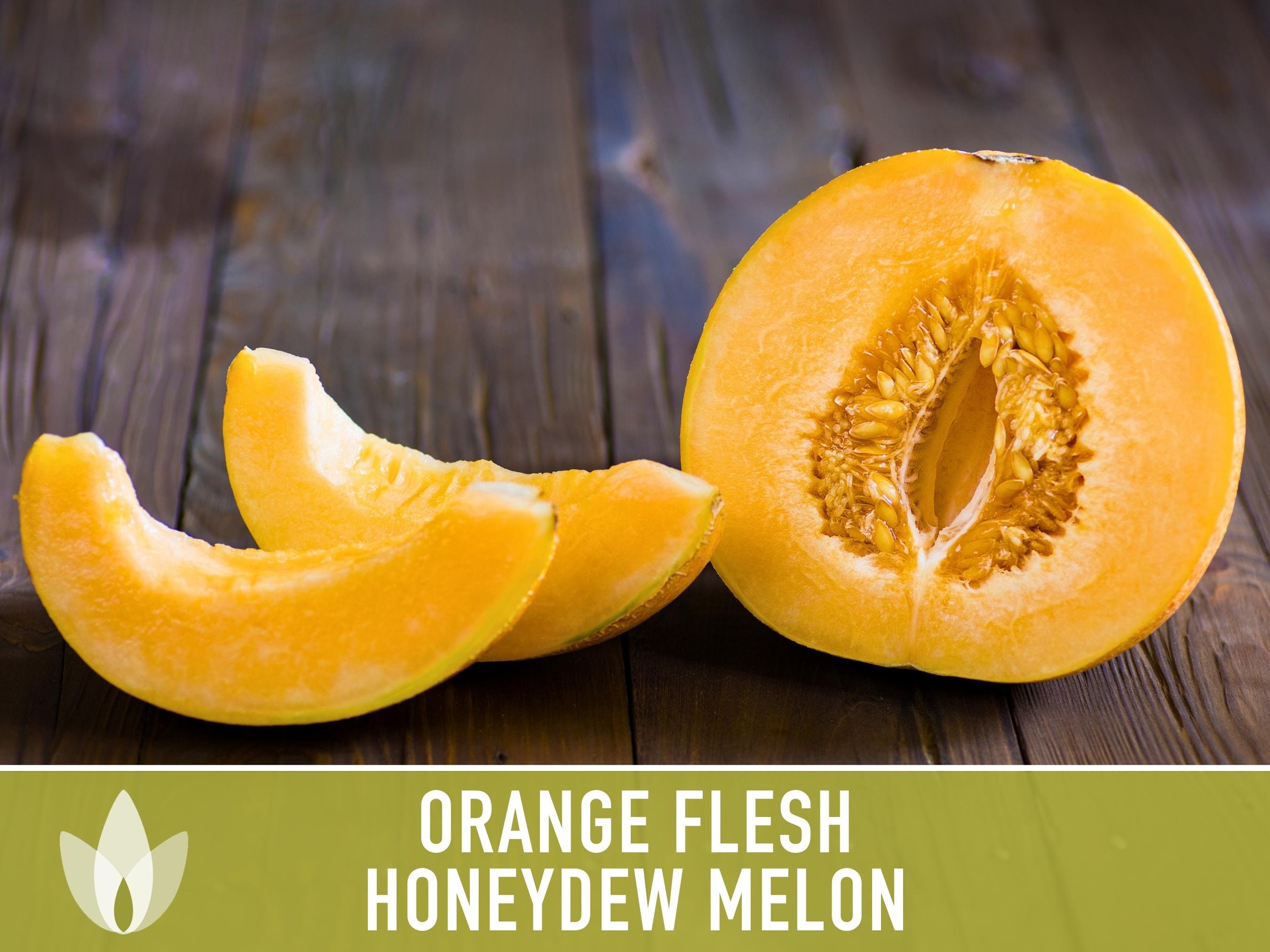 Honeydew – Orange Flesh - Burrell Seeds Retail and in bulk