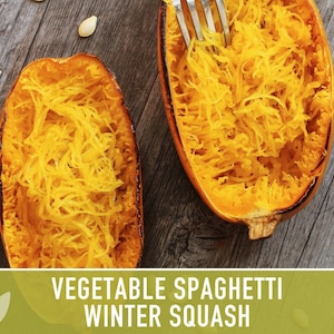 Vegetable Spaghetti Winter Squash Heirloom Seeds image 8