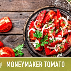 Moneymaker Tomato Seeds Heirloom Seeds, Indeterminate, Slicing Tomato, Sauce Tomato, High Yield, Heat Loving, Salsa Garden, Non-GMO image 7
