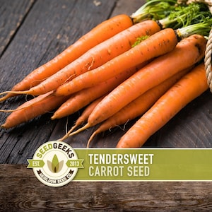 May include: A bunch of fresh, orange carrots with green tops tied with twine, resting on a dark wooden surface. The image includes a logo that reads "Seed Geeks" and the text "Tendersweet Carrot Seed".