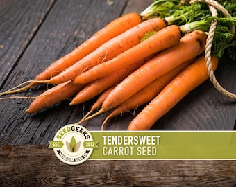 Tendersweet Carrot Seeds - Non-GMO, Coreless | 150 Seeds