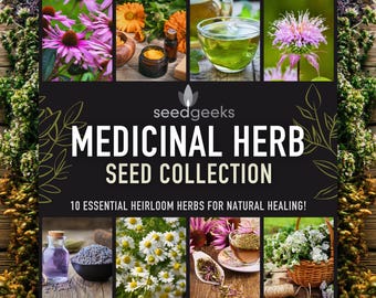 Heirloom Medicinal Herb Seed Collection – 10 Essential Varieties