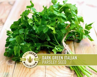 May include: A bundle of fresh, dark green Italian parsley, tied with twine, rests on a light brown wooden surface. The image includes a logo that reads "Seed Geeks" and the text "Dark Green Italian Parsley Seed".