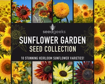May include: A collage of sunflower images with a black background featuring the text "SUNFLOWER GARDEN SEED COLLECTION" and "10 STUNNING HEIRLOOM SUNFLOWER VARIETIES!". The sunflowers are in various colors, including yellow, orange, and red.