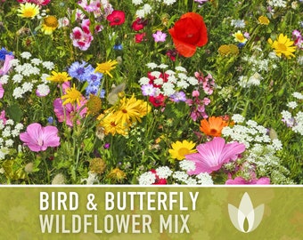 Bird & Butterfly Wildflower Seed Mix - Seed Packets, Heirloom Seeds, Flower Seeds, Non GMO, Open Pollinated