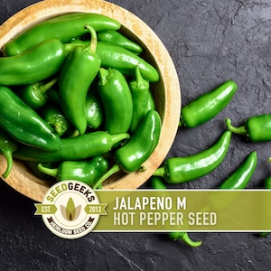 Jalapeno M Heirloom Pepper Seeds | 25+ Seeds, High Yield, Organic, Chili, Capsicum annuum image 1