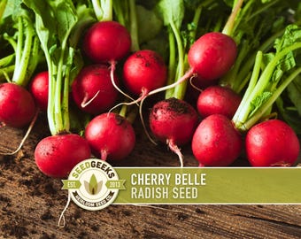 Cherry Belle Radish Heirloom Seeds
