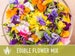 Edible Flower Heirloom Seed Mix - Seed Packets, Flower Seeds, Herb Seeds, Non GMO, Open Pollinated 