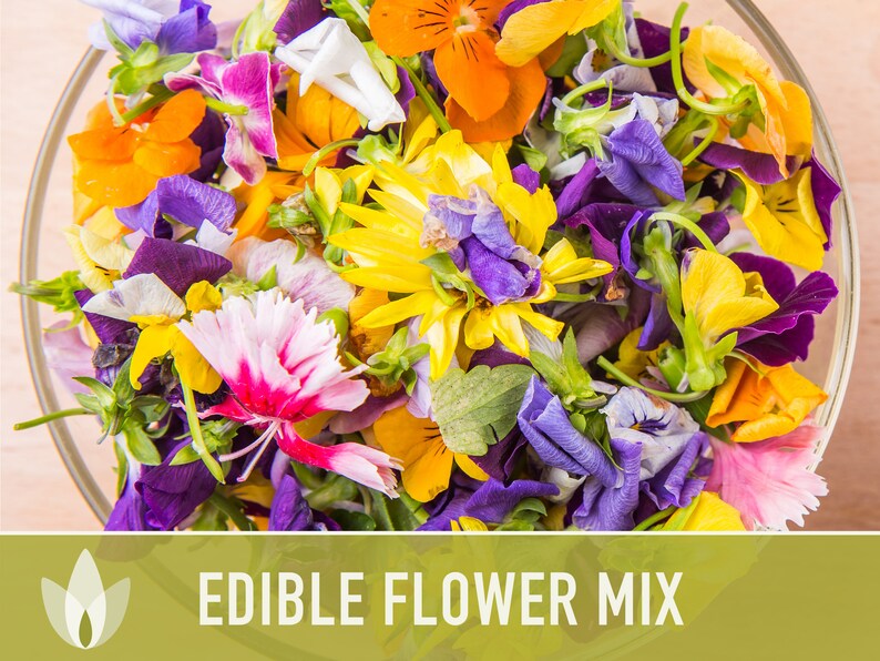 Edible Flower Heirloom Seed Mix Seed Packets Flower Seeds Etsy