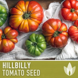 Hillbilly Tomato Seeds - Heirloom Seeds, Slicing Tomato, Indeterminate Tomato, Multicolor Tomato, Low Acid Tomato, Open Pollinated, Non-GMO