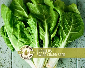 Lucullus Swiss Chard Heirloom Seeds