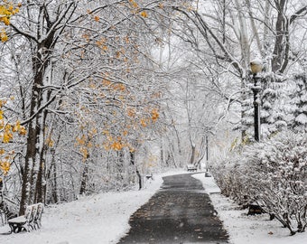 Snow Covered Walking Trail on the Grand River, Portland MI - Large Print, Photography, Pic, Picture, Fine Art - Free Shipping