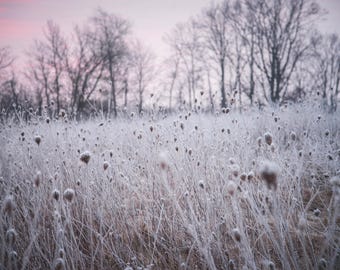 Frosty Winter Sunrise - Large Print, Backwoods Photograph, Modern Pic, Camping Picture, Fine Art - Free Shipping