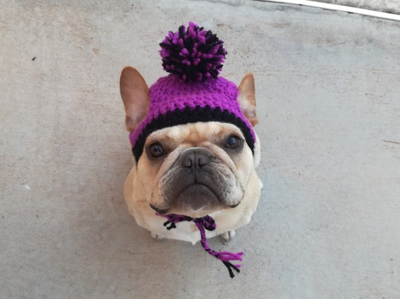 Custom French Bulldog Crochet Hat With 