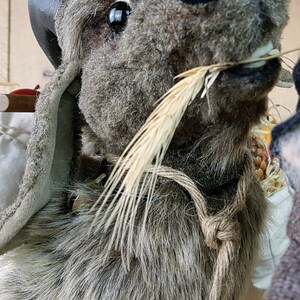 May include: A plush gray goat with a brown leather strap around its neck. The goat is holding a stalk of wheat in its mouth.