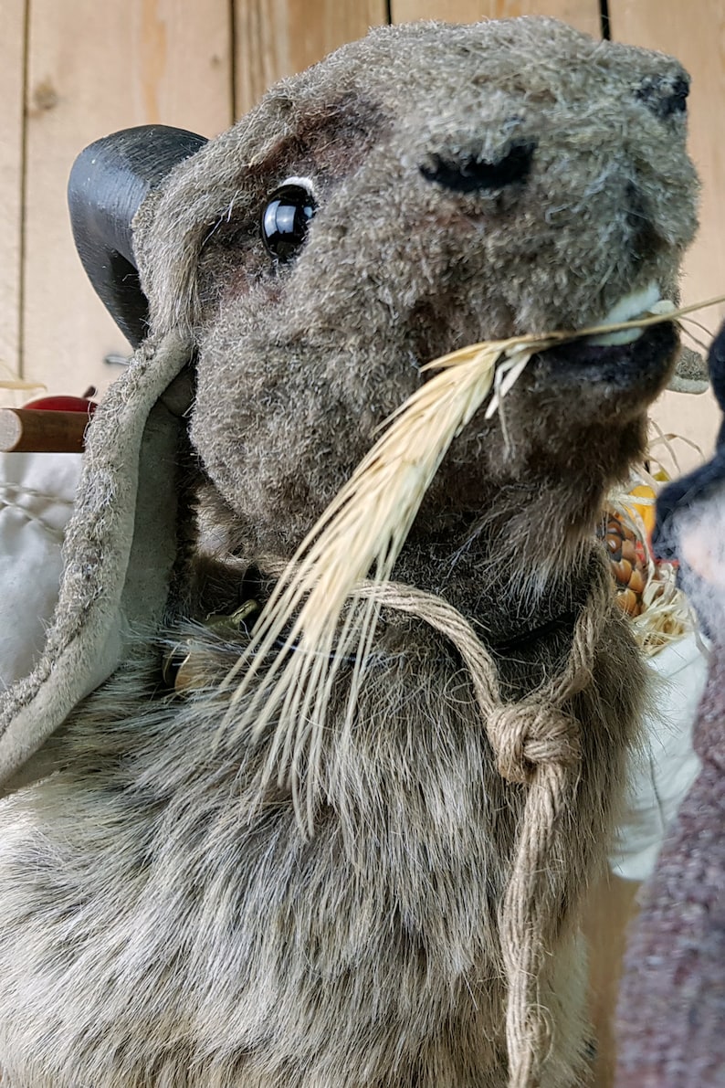 May include: A plush gray goat with a brown leather strap around its neck. The goat is holding a stalk of wheat in its mouth.