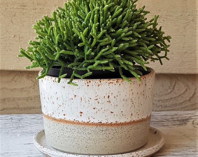 Handmade stoneware ceramic planter with saucer