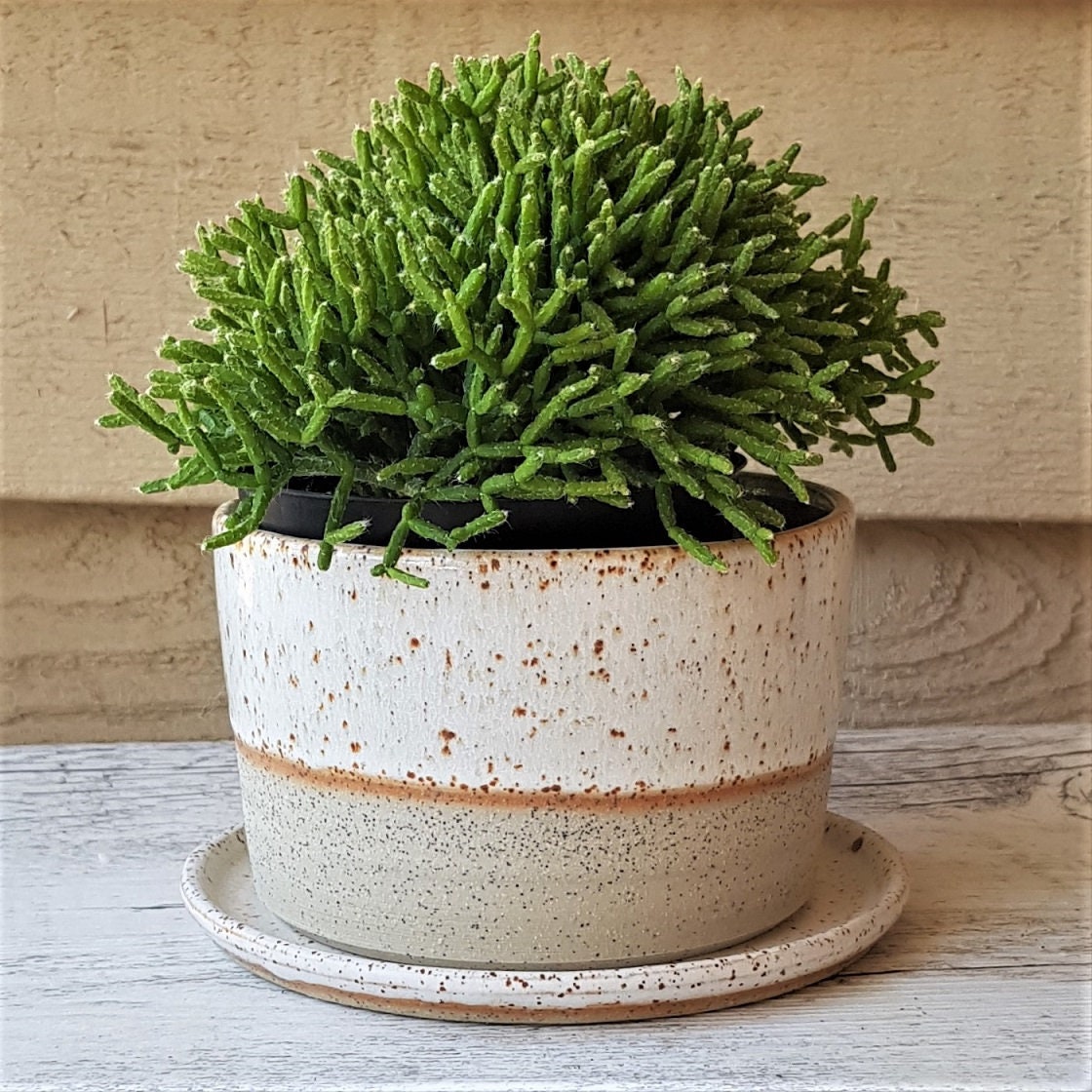 Handmade stoneware ceramic planter with saucer