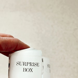 SURPRISE BOX {mystery box}