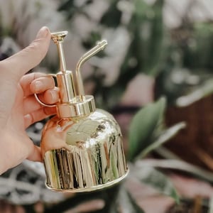 300ml Plant Mister // Watering Can // Essential oil spray bottle