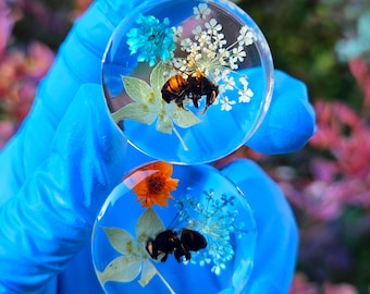 Édition limitée, Véritables bouchons d'abeille, Bouchons d'oreilles, Abeilles, Jauges florales, Jauges auriculaires, Curiosités