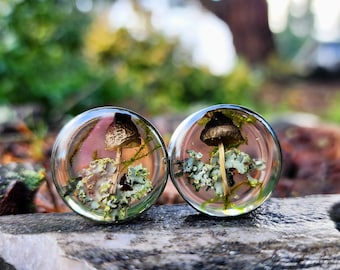 Limited Edition, Real Mushroom plugs, Plugs, Mushrooms, Moss, Mushies, Nature plugs, Gauges, Ear Gauges, Resin, Moss and Mushroom, Oddities