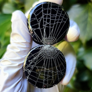 May include: Two circular black ear plugs featuring a detailed white spider web design. The glossy surface of each plug displays a fine, intricate web pattern that radiates from the center, creating a stark contrast against the solid black background.