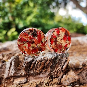 Fall Leaves, Autumn, Fall, Leaves, Spooky Season, Nature, Shaped Glitter, Dangle Plugs, Glitter Plugs, Plugs, Ear gauges, Leaf, Set of Plugs