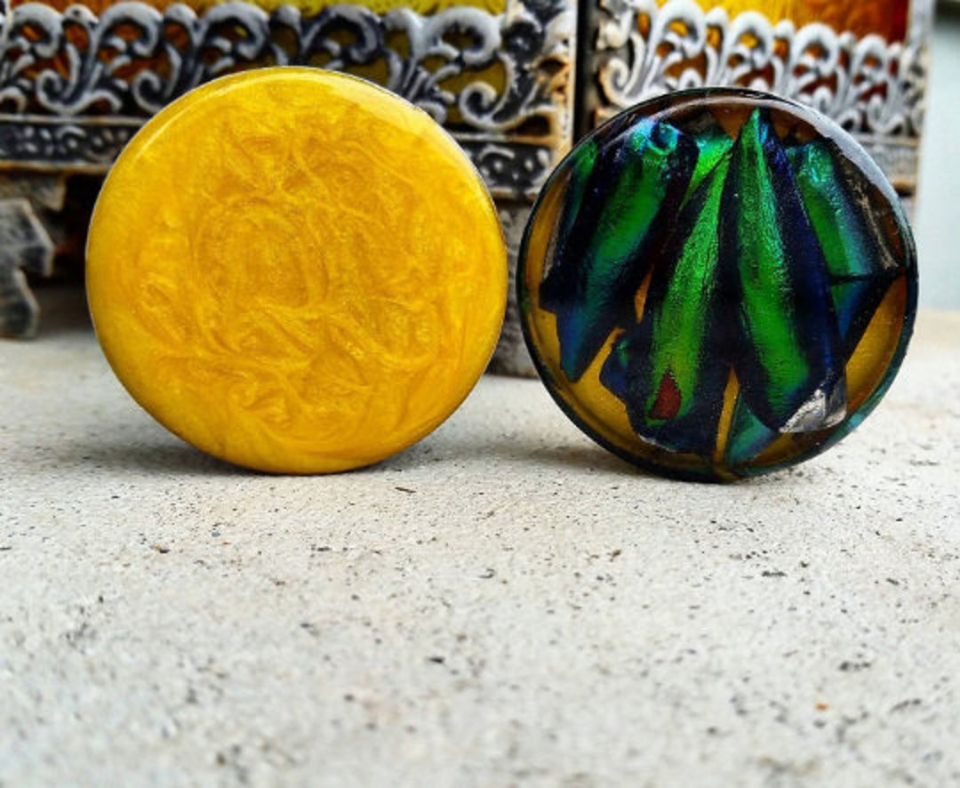 Beetle Wing Plugs, Bug Jewelry, Beetle Wings, Oddities, Resin Plugs, Bug Wing, Wings, Resin