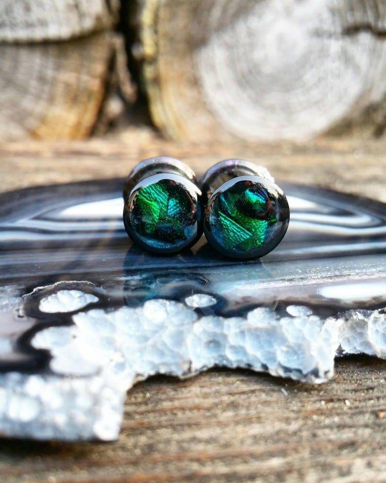Resin Jewelry Resin Ear gauges Bug jewelry Bug wing Beetle wing ear gauges Resin Ear gauges Ear gauges Acrylic Bugs in resin Wings