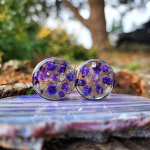 May include: Two round, clear resin plugs with embedded purple and silver dried flowers. The plugs are on a purple and white striped surface.