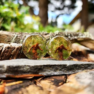 Puede incluir: Un par de tapones para orejas redondos de resina transparente con una figura de Bigfoot marrón dentro de cada tapón. Los tapones están colocados sobre un fondo de musgo verde y un bosque borroso.
