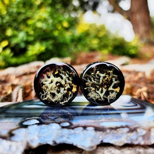Real Moss Acrylic Plugs: Witchy Handmade Gauges (Set)