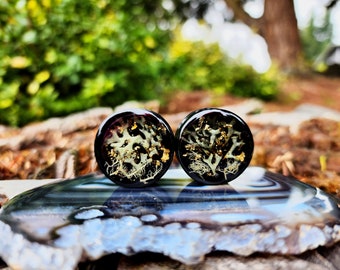 Moss Plugs, Real Moss gauges, Plugs, Real Moss Plugs, Witchy, Moss, Real plants, Flower plugs, Set of Plugs, Acrylic Plugs, Acrylic Gauges