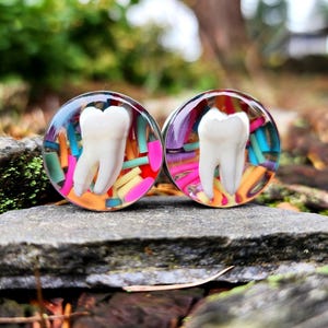 Limited Edition, Real teeth plugs, Plugs, Teeth, Real animal teeth, Animal teeth, Teeth plugs, Gauges, Ear gauges, Resin, Teeth, Oddities
