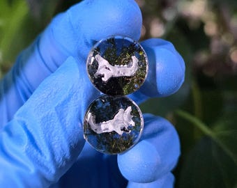 Bouchons osseux pour mâchoires, Jauges d'oreille Oddities, Dents, Imprimé en 3D, fait main, 1/2 pouce, 2 pouces