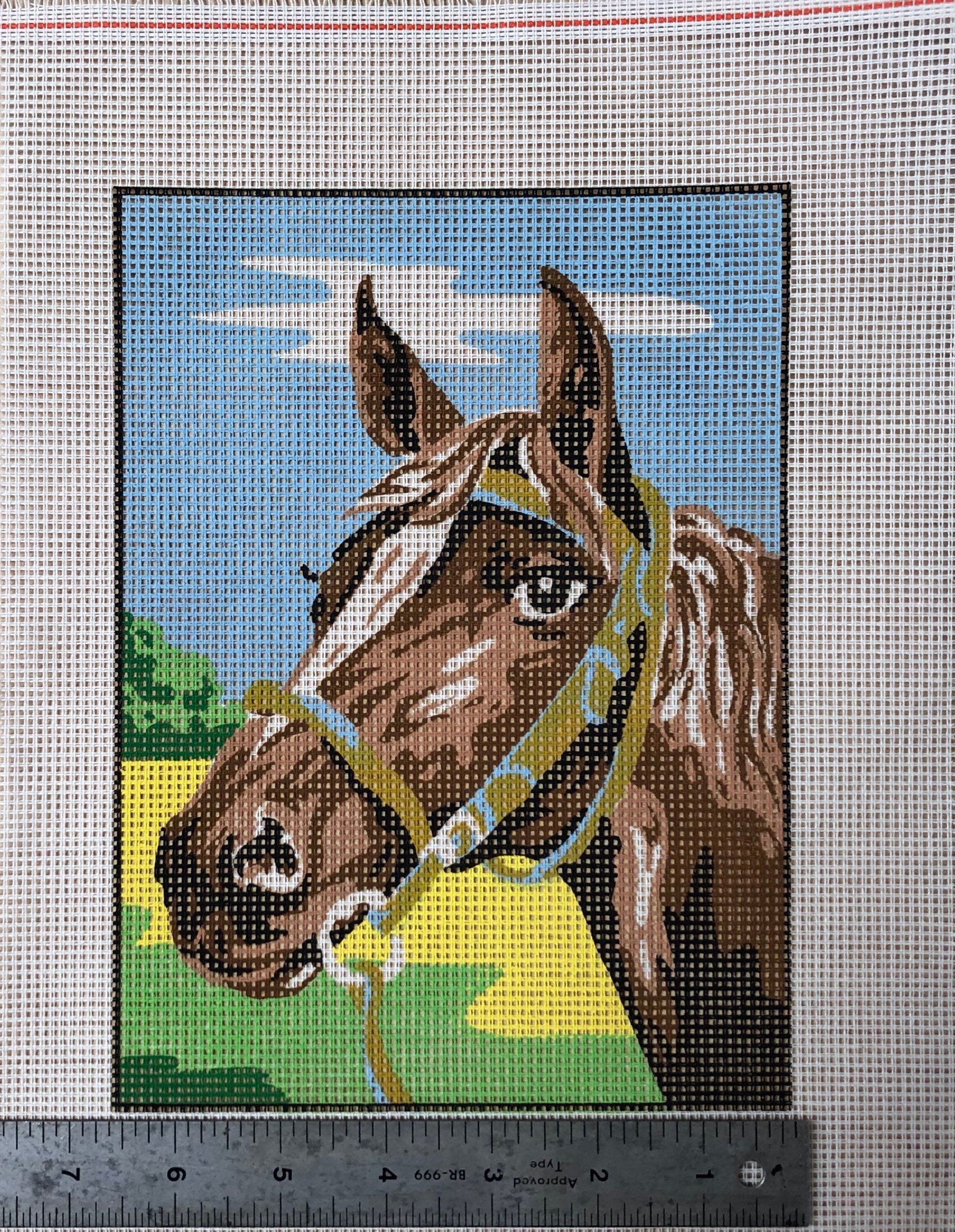 Types Of Needlepoint Canvas