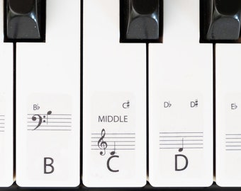 STATIC PIANO labels STANDARD for all size Pianos and keyboards the best way to learn Piano