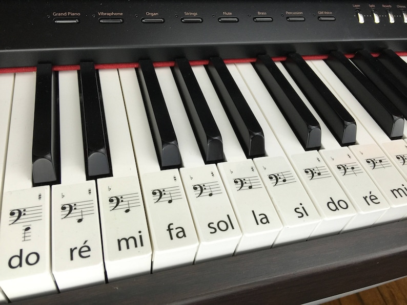 Клавиатура фортепиано картинка с нотами