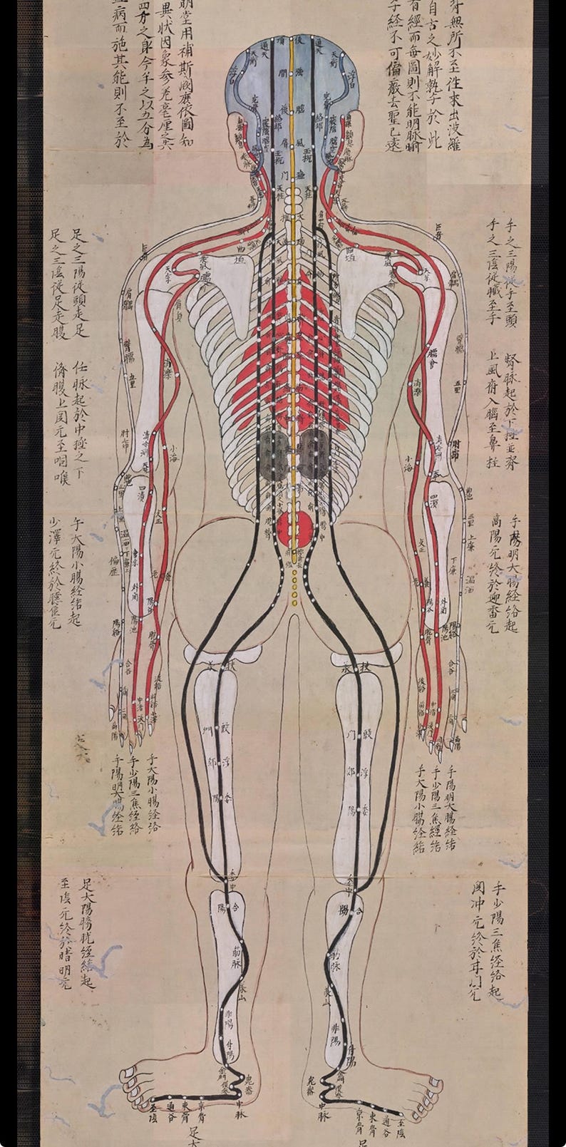 Japanese Acupuncture Chart: Edo-period Meridian Illustration (digital ...