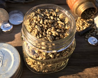 GOLD NUGGET Replicas in Vintage American 1/2 Pint Mason Jar, Display Item, Helps A Small Scale Miner, Genuine Heavy Iron Stones Painted Gold