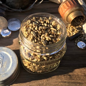 GOLD NUGGET Replicas in Vintage American 1/2 Pint Mason Jar, Display Item, Helps A Small Scale Miner, Genuine Heavy Iron Stones Painted Gold