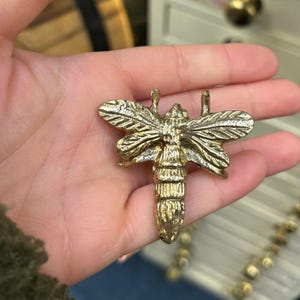 May include: A gold metal butterfly-shaped door knob or pull. The butterfly has detailed wings and a textured body.