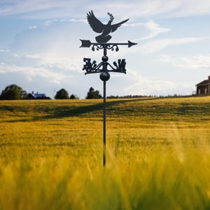 Dove of Peace Free Standing Weathervane/Anti War/Peace Bird Watchers, Bird Lovers, Garden Gift, Spring Summer Gifts, Garden Decoration