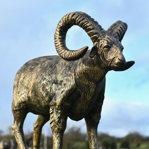May include: A gold-coloured metal sculpture of a ram with large curled horns. The ram is standing on a bed of green grass.