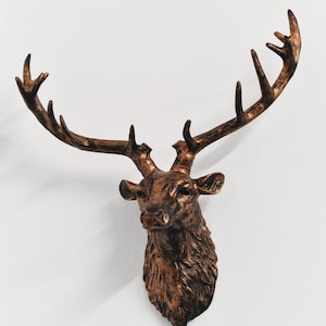 May include: A bronze-coloured deer head wall mount with antlers. The deer head is facing forward with its mouth closed. The antlers are long and curved.