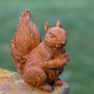 May include: A rusty brown metal squirrel figurine with a bushy tail. The squirrel is sitting on a rock with a green grassy background.