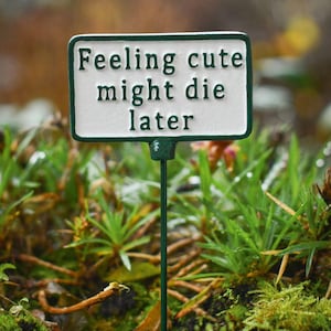 May include: A rectangular garden sign on a thin green metal stake. The sign has a white background with a dark green border and the raised dark green text "Feeling cute might die later" centred on the face of the sign in a clear font.